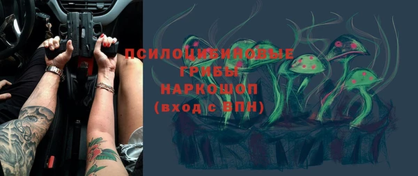 spice Магас
