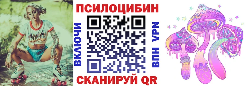закладки  Нахабино  Галлюциногенные грибы Psilocybe 